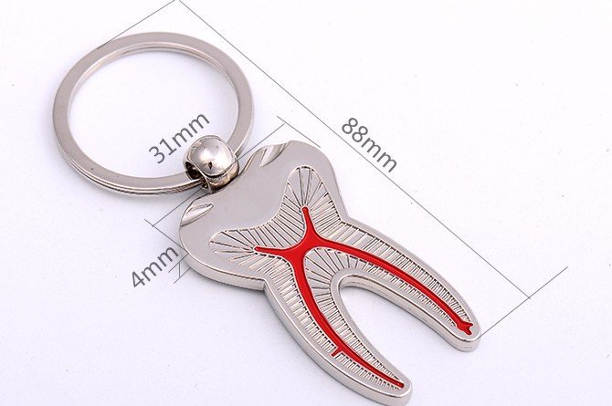 Anatomical Tooth Keychain Ð Metal Finish with Root Canal Design - Image 3