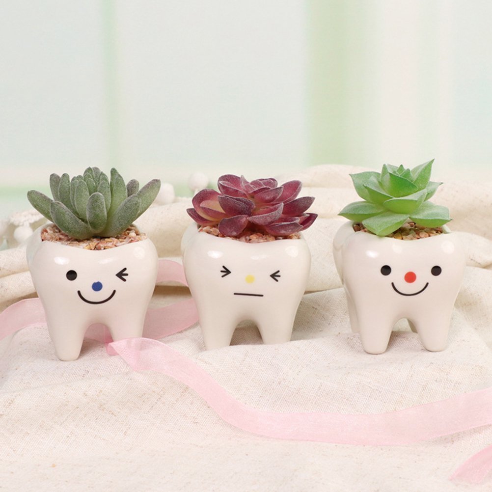Tooth Shape Flower Pot - Image 4