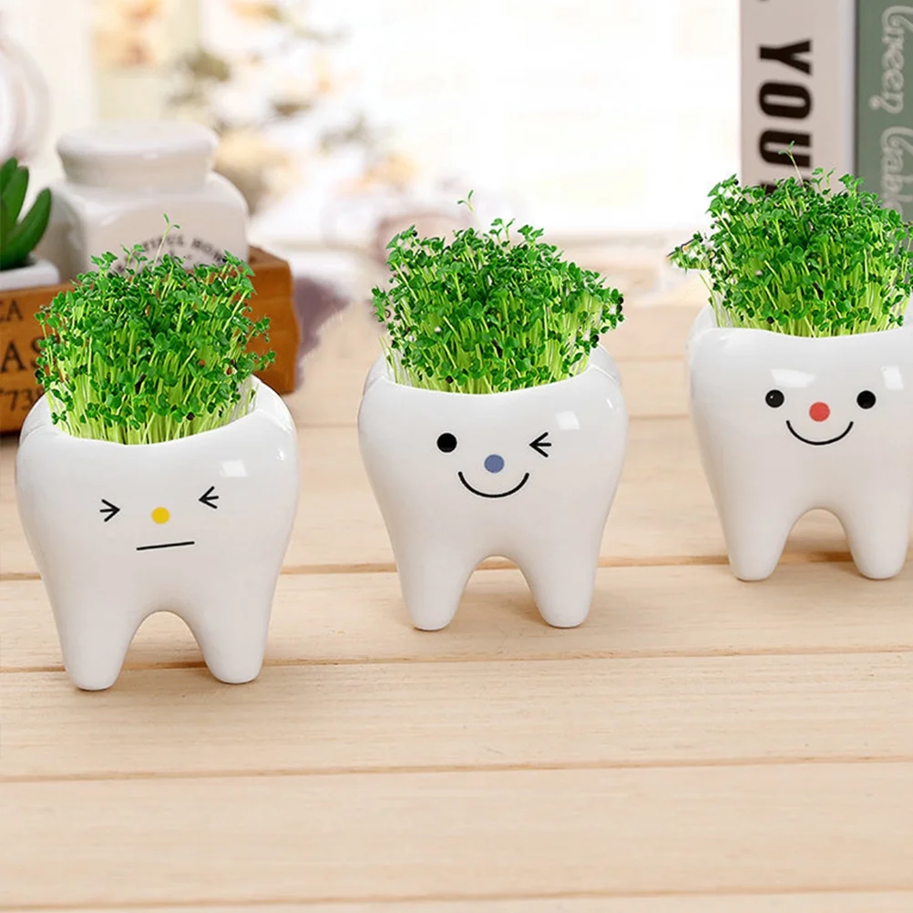 Tooth Shape Flower Pot - Image 2