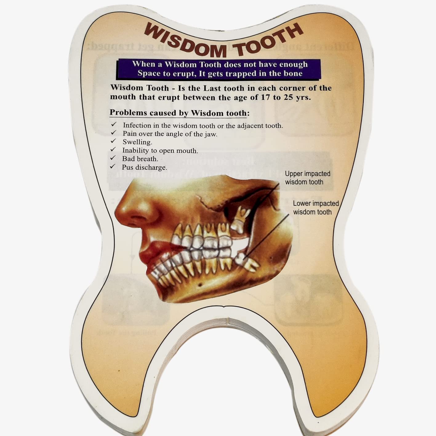 Unique Dents Wisdom Tooth Educative Pads, Brouchers, Templates, Patient Education Material, Patient Education booklets, Patient Educational Leaflets/Set of 4 pads