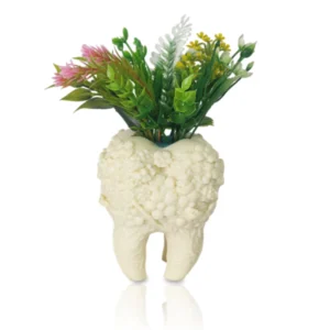 Tooth-Shaped Decorative Flower Pot – Whimsical Dental Decor