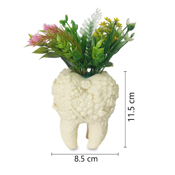 Tooth-Shaped Decorative Flower Pot – Whimsical Dental Decor
