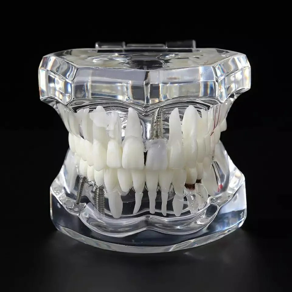 Dental All In One Model
