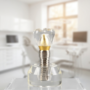 3 in 1 Dental Implant Model