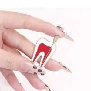 Dental Brooch Tooth Cross Section with Pin
