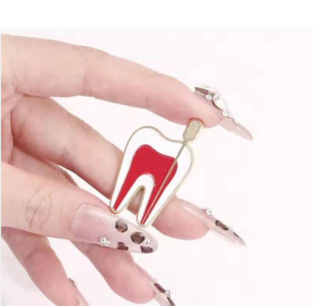 Dental Brooch Tooth Cross Section with Pin