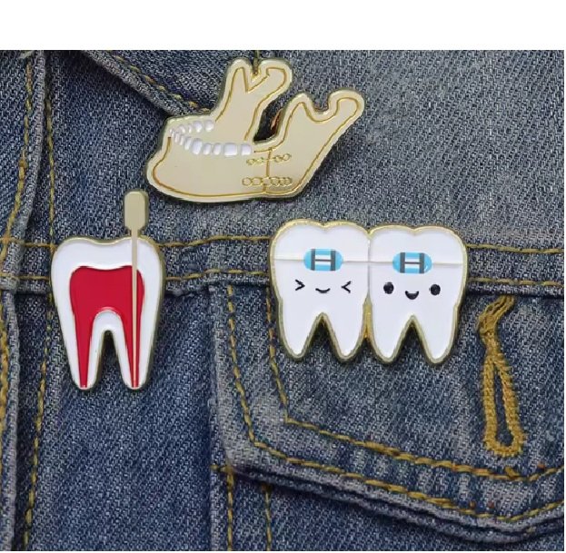 Dental Brooch Tooth Cross Section with Pin