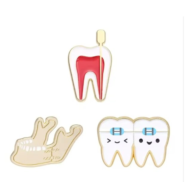 Dental Brooch Tooth Cross Section with Pin