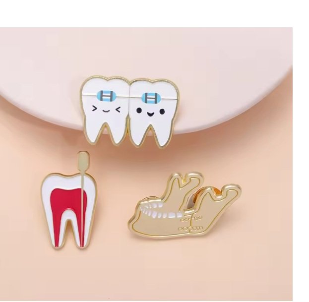 Dental Brooch Tooth Cross Section with Pin