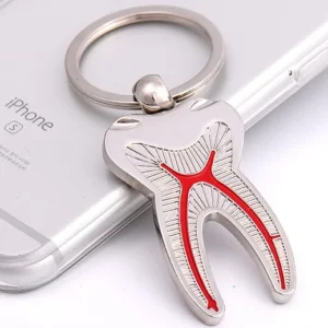 Anatomical Tooth Keychain – Metal Finish with Root Canal Design