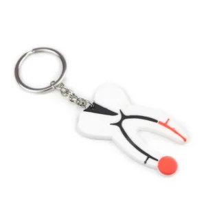 Tooth Anatomy Keychain (Rubber Material)