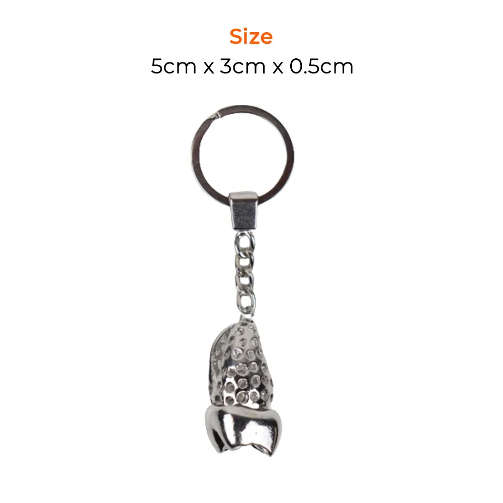 Tooth-Shaped Silver Keychain – Elegant Metal Finish