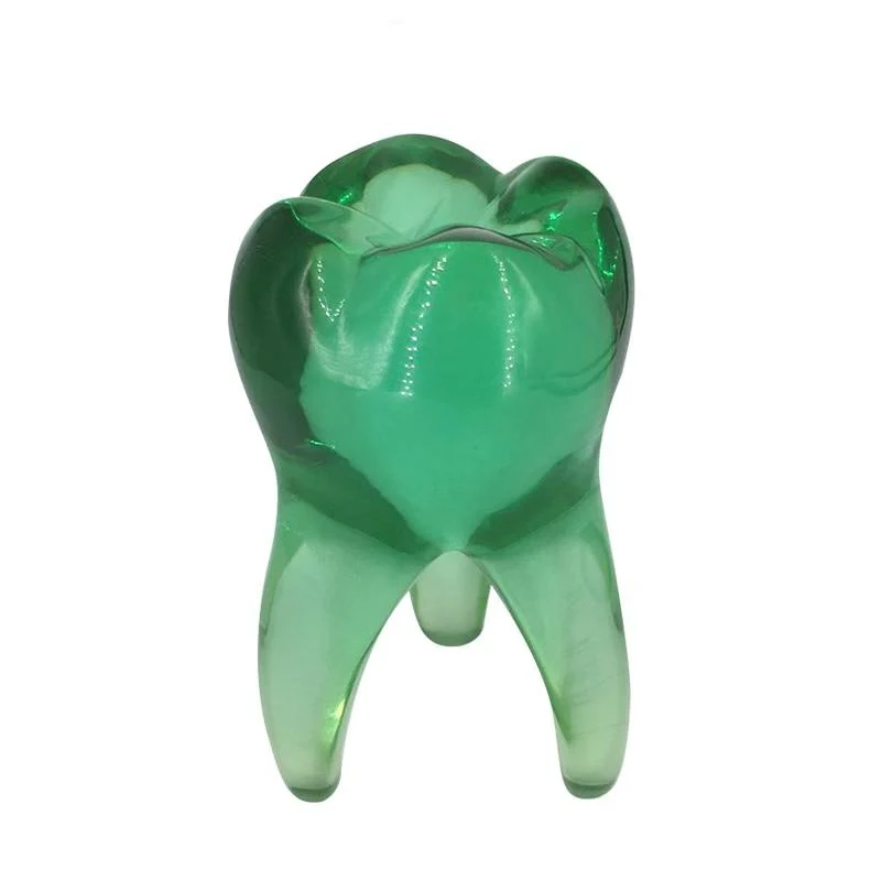 Crystal Molar Sculpture – Decorative Resin Tooth Figurine