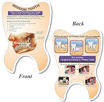 Wisdom Tooth