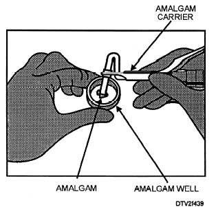 Amalgam Carrier