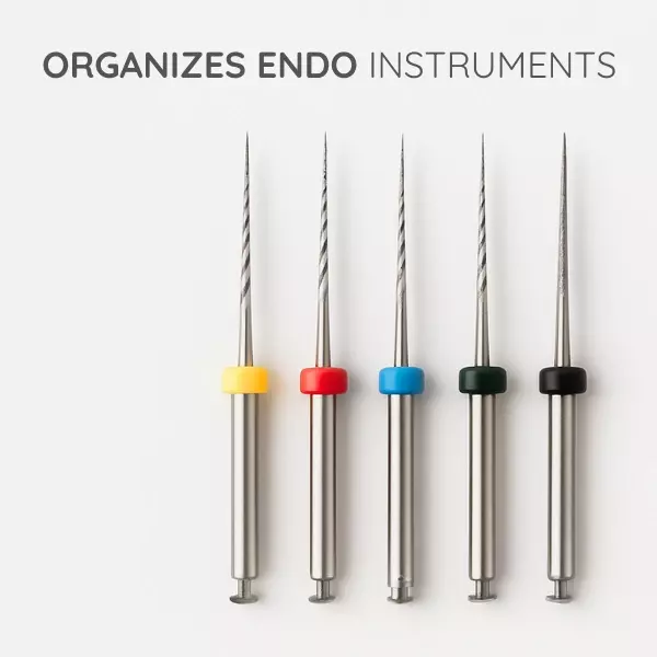 Endo Box Round-26 Holes
