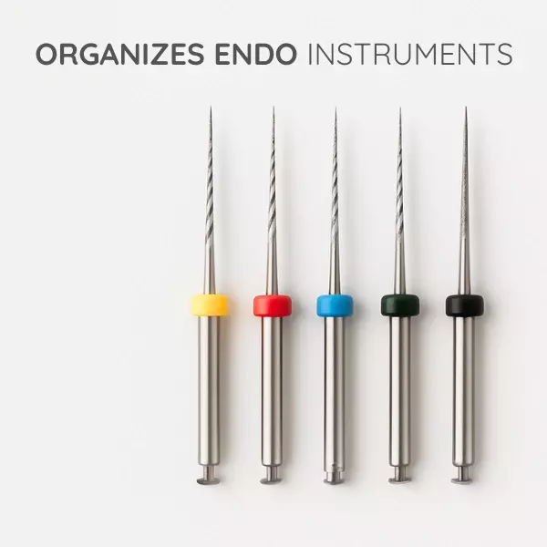 Endo Box- 72 Holes