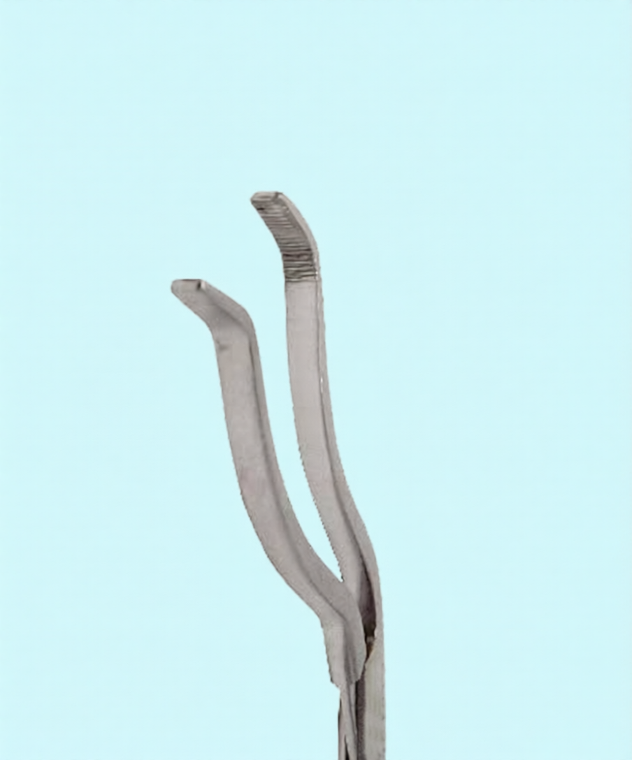 Cheatle Forceps