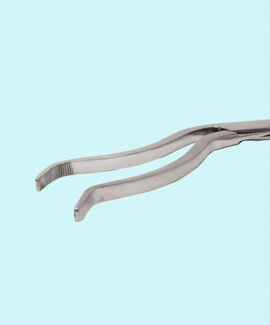 Cheatle Forceps