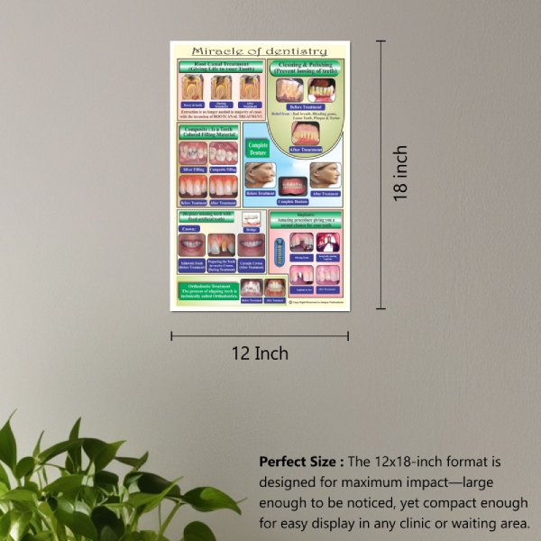 Comprehensive Dental Education Poster Set – Patient Information for Clinics