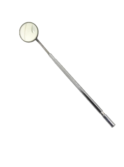 Mouth Mirror with Handle