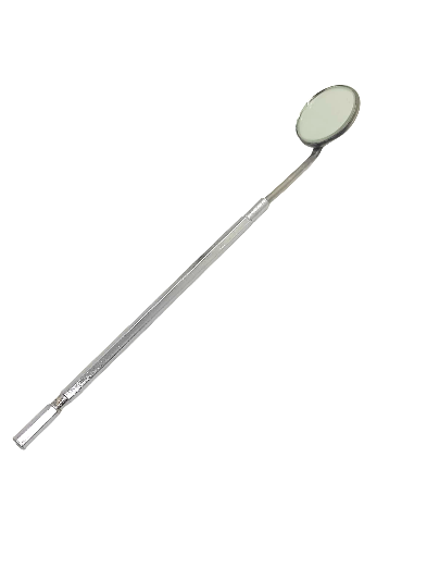 Mouth Mirror with Handle