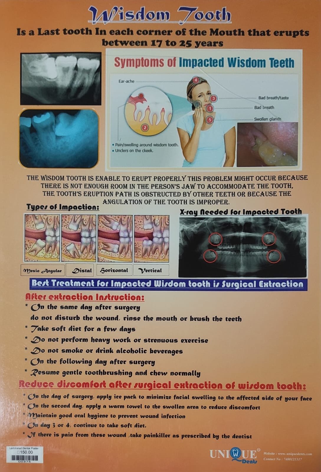 Wisdom Tooth – Laminated Poster