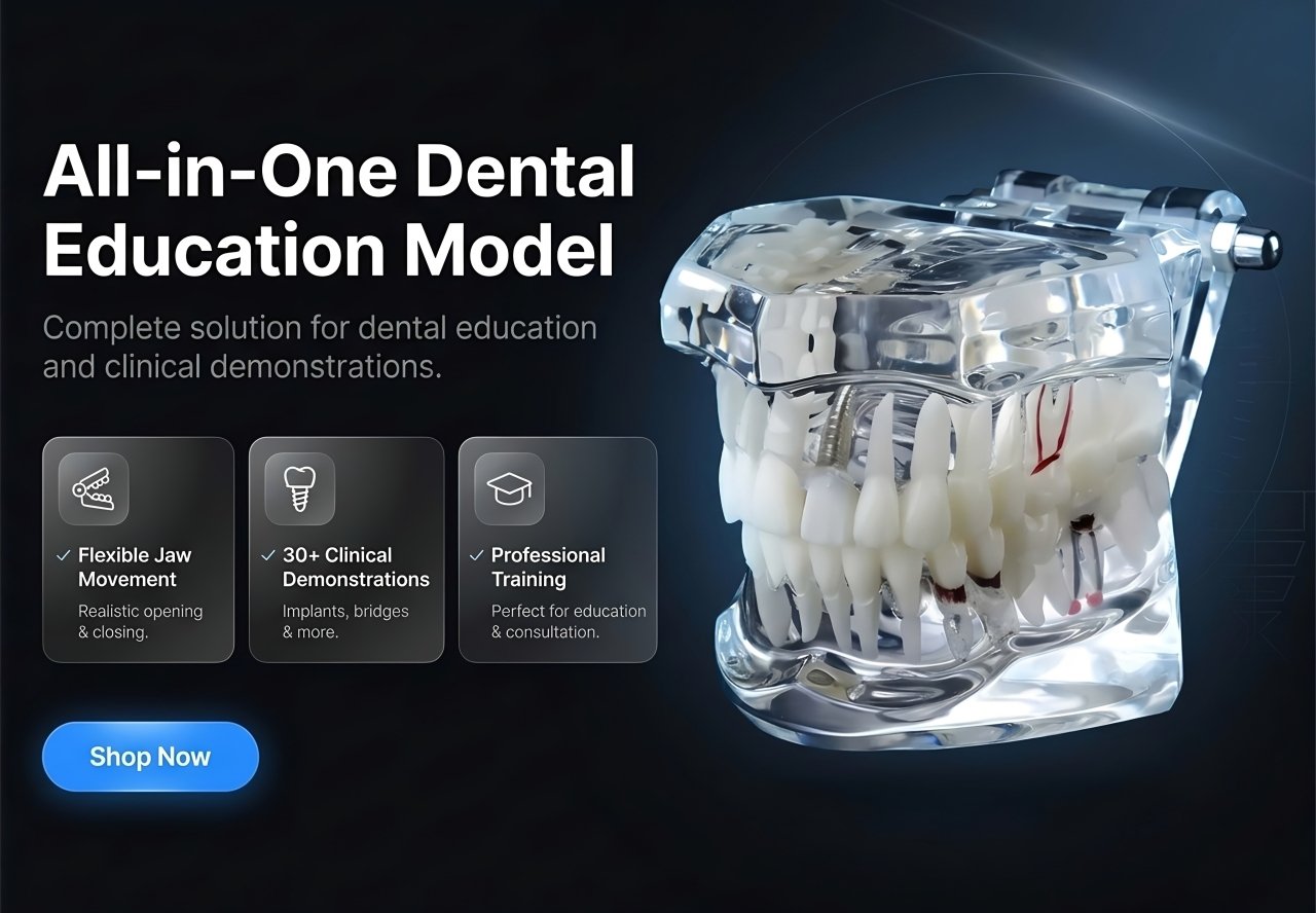 All In One Dental Model